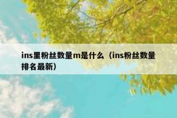 ins里粉丝数量m是什么（ins粉丝数量排名最新）