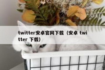 twitter安卓官网下载（安卓 twitter 下载）