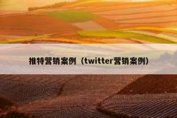 推特营销案例（twitter营销案例）