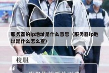 服务器的ip地址是什么意思（服务器ip地址是什么怎么查）