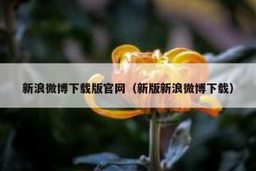 新浪微博下载版官网（新版新浪微博下载）
