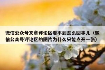 微信公众号文章评论区看不到怎么回事儿（微信公众号评论区的图片为什么只能点开一张）