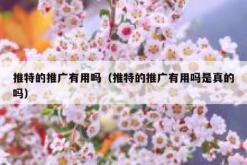推特的推广有用吗（推特的推广有用吗是真的吗）