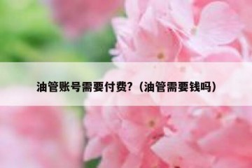 油管账号需要付费?（油管需要钱吗）