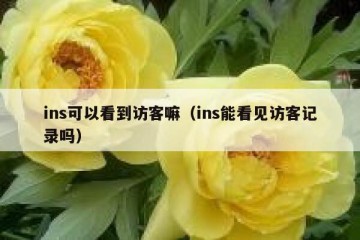 ins可以看到访客嘛（ins能看见访客记录吗）