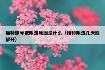 推特账号被限流原因是什么（推特限流几天能解开）