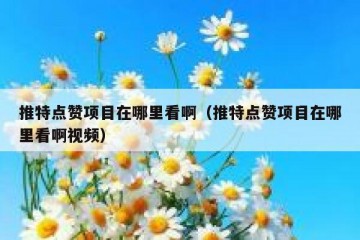 推特点赞项目在哪里看啊（推特点赞项目在哪里看啊视频）