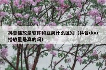 抖音播放量软件和豆荚什么区别（抖音dou播放量是真的吗）