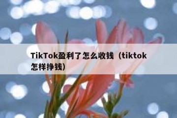 TikTok盈利了怎么收钱（tiktok怎样挣钱）