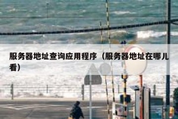 服务器地址查询应用程序（服务器地址在哪儿看）
