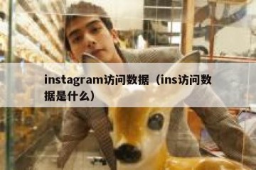 instagram访问数据（ins访问数据是什么）