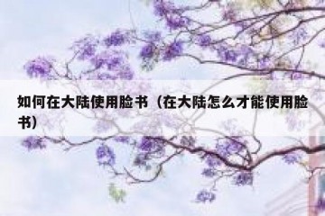 如何在大陆使用脸书（在大陆怎么才能使用脸书）