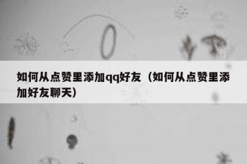如何从点赞里添加qq好友（如何从点赞里添加好友聊天）