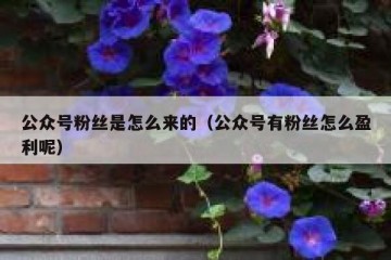 公众号粉丝是怎么来的（公众号有粉丝怎么盈利呢）