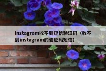 instagram收不到短信验证码（收不到instagram的验证码短信）