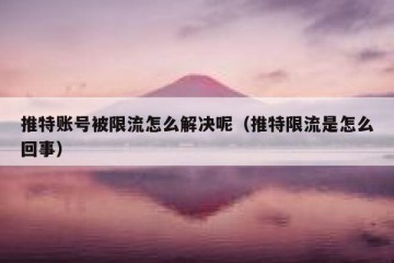 推特账号被限流怎么解决呢（推特限流是怎么回事）