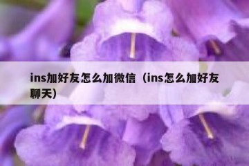 ins加好友怎么加微信（ins怎么加好友聊天）