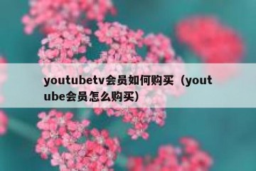youtubetv会员如何购买（youtube会员怎么购买）