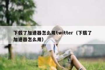 下载了加速器怎么用twitter（下载了加速器怎么用）