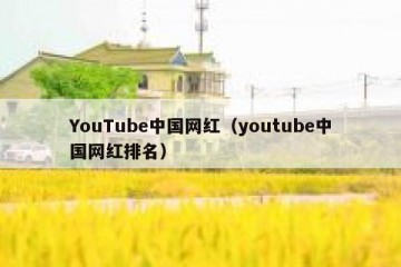 YouTube中国网红（youtube中国网红排名）