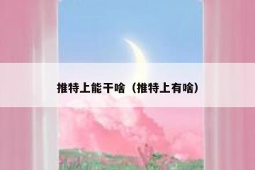 推特上能干啥（推特上有啥）