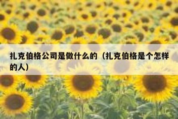 扎克伯格公司是做什么的（扎克伯格是个怎样的人）