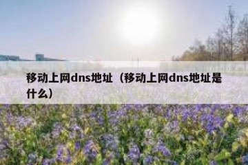 移动上网dns地址（移动上网dns地址是什么）