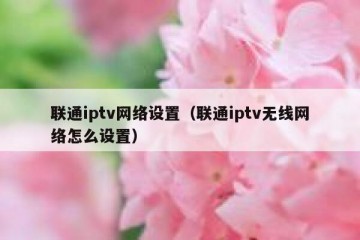 联通iptv网络设置（联通iptv无线网络怎么设置）