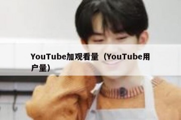 YouTube加观看量（YouTube用户量）