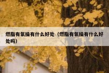 燃脂有氧操有什么好处（燃脂有氧操有什么好处吗）