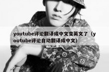 youtube评论翻译成中文变英文了（youtube评论自动翻译成中文）