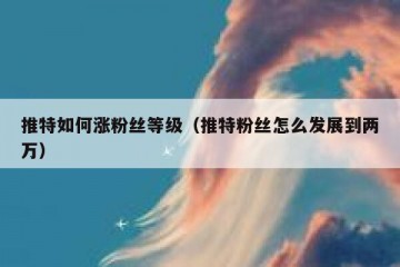 推特如何涨粉丝等级（推特粉丝怎么发展到两万）