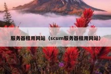 服务器租用网站（scum服务器租用网站）