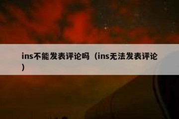ins不能发表评论吗（ins无法发表评论）