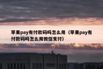 苹果pay有付款码吗怎么用（苹果pay有付款码吗怎么用微信支付）