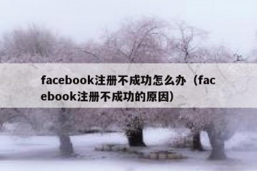 facebook注册不成功怎么办（facebook注册不成功的原因）