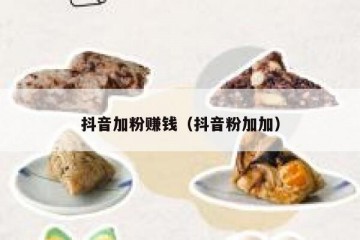 抖音加粉赚钱（抖音粉加加）