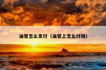 油管怎么支付（油管上怎么付钱）