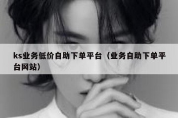 ks业务低价自助下单平台（业务自助下单平台网站）