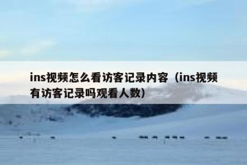 ins视频怎么看访客记录内容（ins视频有访客记录吗观看人数）