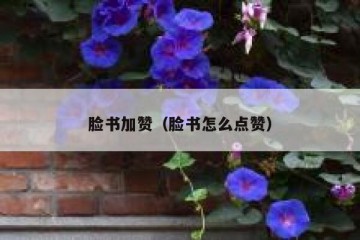 脸书加赞（脸书怎么点赞）