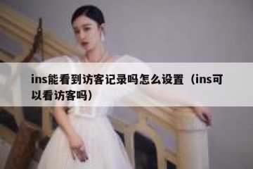 ins能看到访客记录吗怎么设置（ins可以看访客吗）