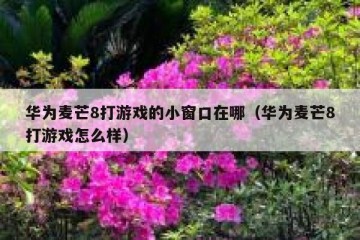 华为麦芒8打游戏的小窗口在哪（华为麦芒8打游戏怎么样）