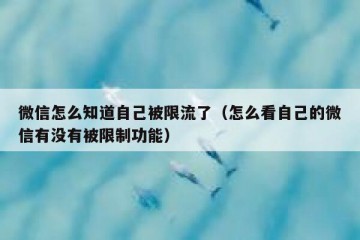 微信怎么知道自己被限流了（怎么看自己的微信有没有被限制功能）