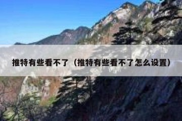 推特有些看不了（推特有些看不了怎么设置）