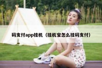 码支付app挂机（挂机宝怎么挂码支付）