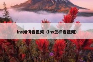 ins如何看视频（ins怎样看视频）