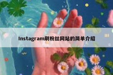 Instagram刷粉丝网站的简单介绍