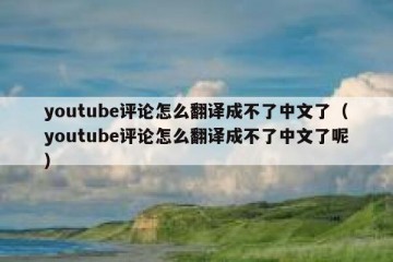 youtube评论怎么翻译成不了中文了（youtube评论怎么翻译成不了中文了呢）