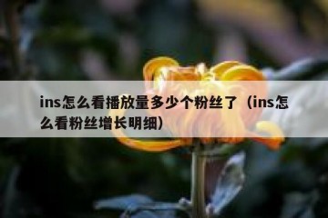 ins怎么看播放量多少个粉丝了（ins怎么看粉丝增长明细）